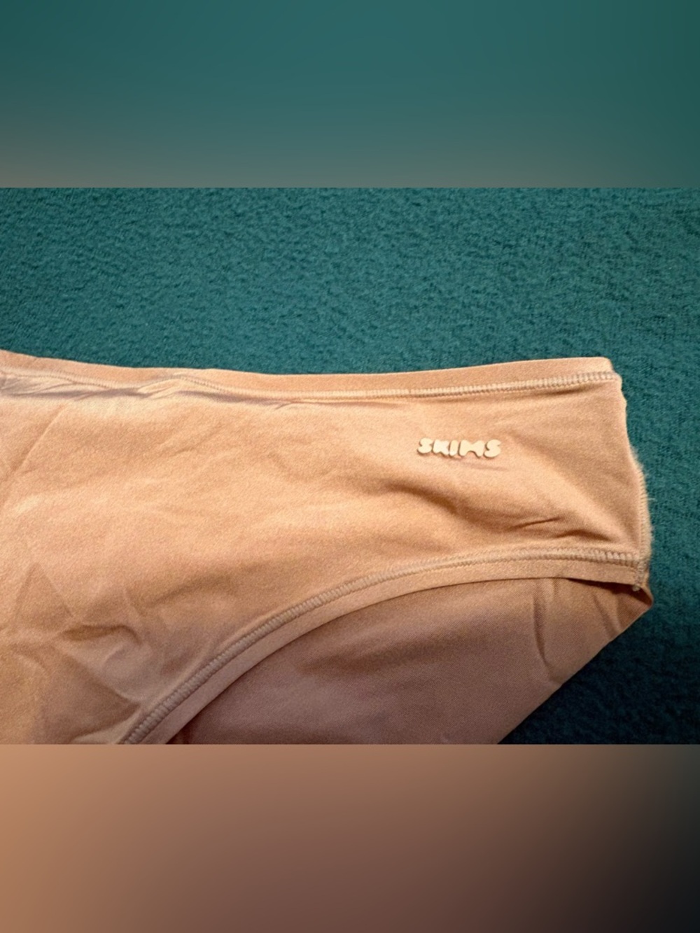 SKIMS Nude Bikini Panty - Picture 4 of 11